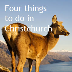 four-things-to-do-in-christchurch